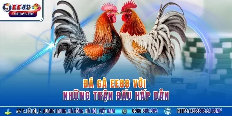 Đá gà EE88 với những trận đấu hấp dẫn