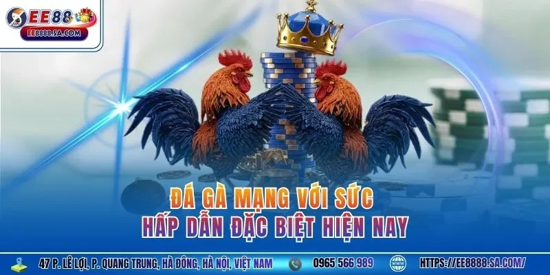 Đá gà mạng với sức hấp dẫn đặc biệt hiện nay