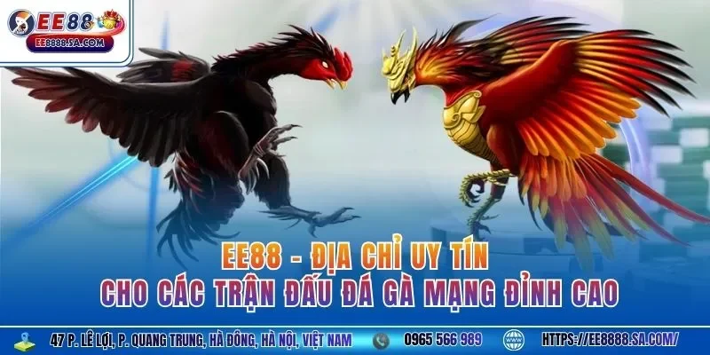 EE88 - địa chỉ uy tín cho các trận đấu đá gà mạng đỉnh cao